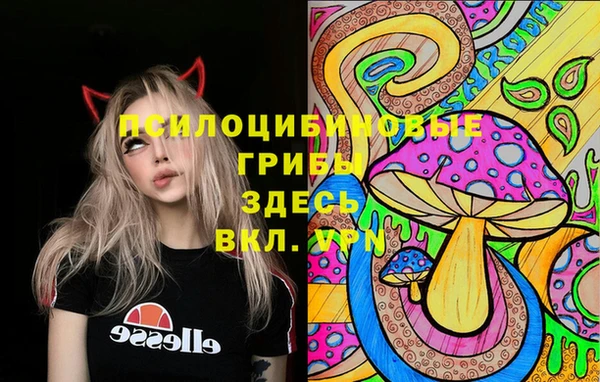 синтетический гашиш Заволжск