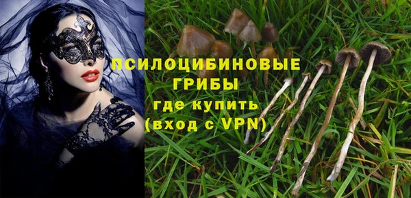 эйфоретик Елабуга