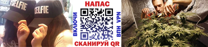 Шишки марихуана Ganja  купить наркоту  Салават 
